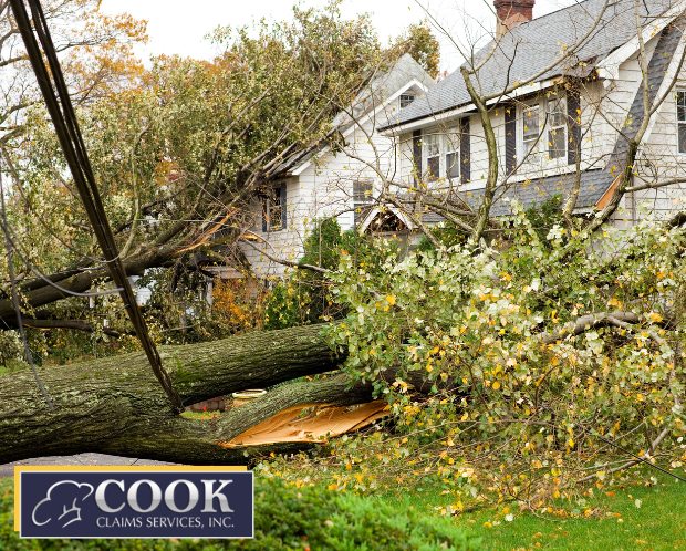 Catastrophe Claims with Cook Claims
